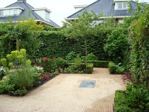 BACK GARDEN LEIDSCHENDAM